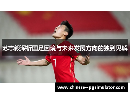 范志毅深析国足困境与未来发展方向的独到见解