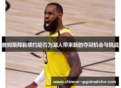 詹姆斯降薪续约能否为湖人带来新的夺冠机会与挑战