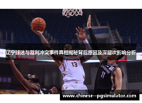 辽宁球迷与裁判冲突事件真相揭秘背后原因及深层次影响分析