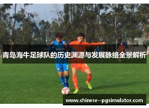 青岛海牛足球队的历史渊源与发展脉络全景解析
